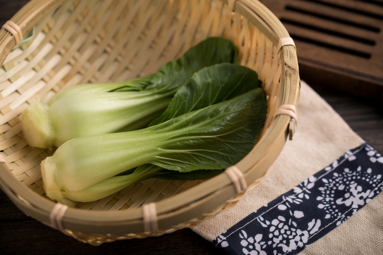 1.webp 这种绿叶菜,健肠道、延衰老,四季必备,好吃好做