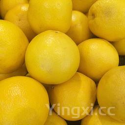 石榴籽的作用与功效中医,石榴籽的作用与功效