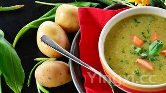 十大儿童营养汤,儿童喜欢的营养汤