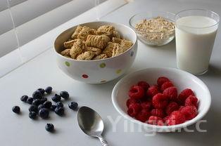 学生早餐最好吃什么，学生早餐吃啥方便又好