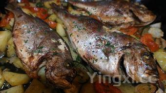 鲤鱼的做法大全家常最好吃的，鲤鱼的做法50种大全