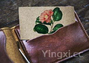 粽子的包法百度百科,粽子的包法有几种