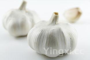 肉丸子怎么做才嫩，肉丸子怎么做才嫩又松软