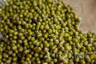 去火解毒的绿豆汤做法,去火解毒的绿豆汤做法大全