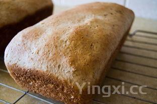 三分钟烤箱早餐,用烤箱怎样做早餐