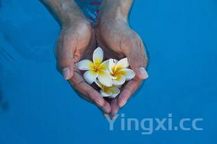 千叶豆腐的做法大全,千叶豆腐做法视频教程