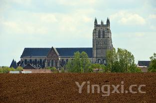 干煸蚕蛹的家常做法窍门,干煸蚕蛹的家常做法