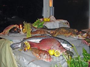 白凉粉的做法大全视频，白凉粉的做法