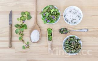 香椿芽炒鸡蛋的功效与作用,香椿芽炒鸡蛋的功效与作用禁忌