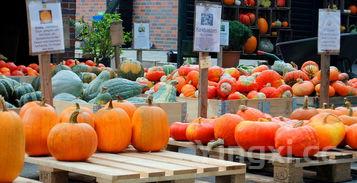 蔬菜名控味衣龙守室称大全500种,蔬菜名称大全(1000种蔬菜一览表)