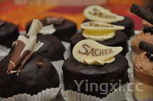 虾粥的家常做法步骤，虾粥的家常做法