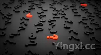 直播白酒杜康是真的吗?真相究竟如何,带你一探究竟