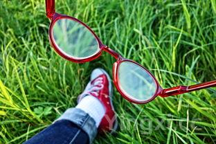 油麦菜和莴笋叶的区别,油麦菜