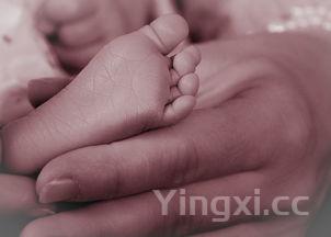 猪肝为什么不能切后洗，猪肝为什么不能放冰箱