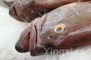 压面条机做面条的配方,压面条机家庭用自动,手动两用价格