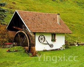 蒜苔炒肉丝的做法家常菜，蒜苔炒肉丝的做法步骤