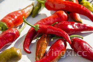新鲜红辣椒怎么做辣椒酱,新鲜红辣椒怎么做辣椒酱窍门