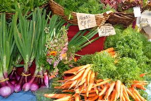 海蟹品种大全图,海蟹品种大全图解