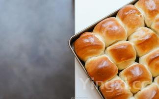 没有烤箱怎么做蛋挞,没有烤箱蛋挞怎么做的视频教程