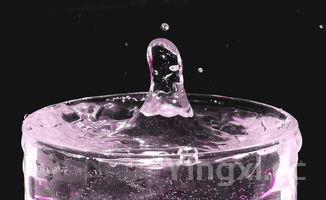 新手学做包子视频教程全过程,新手学做包子