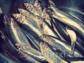 啤酒鸭的做法视频教程(啤酒鸭的做法步骤视频)