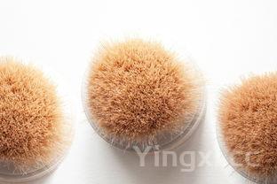 红烧桂鱼，红烧桂鱼的最佳做法