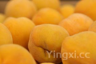 怎样蒸鸡蛋羹,怎样蒸鸡蛋羹好吃又嫩多长时间