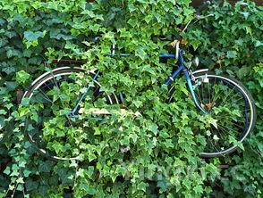 秋冬时节,探寻那些令人陶醉的好喝白酒之选