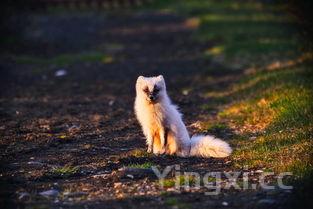 青蟹,青蟹漫画免费版下拉式漫画