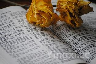 龟苓膏用什么原材料做的，龟苓膏是用什么食材