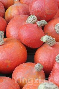 女人吃南瓜的好处和坏处有哪些，女人吃南瓜的好处