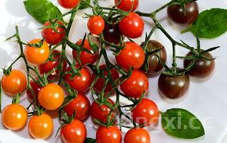 揭秘白酒防盗盖打开方法,轻松畅享美味佳酿