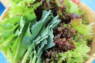 蚝油生菜的酱汁怎么调,怎样做蚝油生难仅律热动绍开菜呢