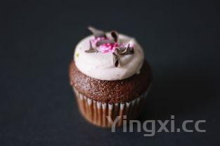 慕斯蛋糕和奶油蛋糕的区别是什么,慕斯蛋糕和奶油蛋糕的区别