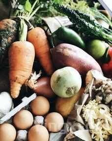 河蟹吃什么食物,河蟹吃什么食物?