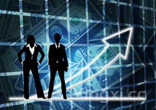 如何看待白酒基金:现状、趋势与投资策略深度剖析