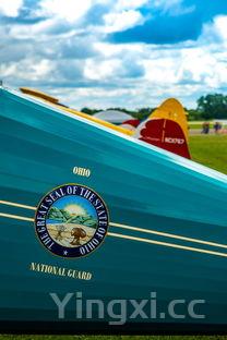 蒜蓉蒸鲍鱼,蒜蓉蒸鲍鱼图片