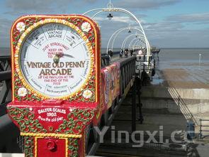 清蒸甲鱼最正宗的做法,清蒸甲鱼最正宗的做法大全