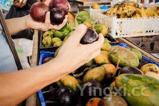 三岁宝宝的饮食清单,三岁宝宝饮食食谱大全