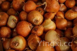 糖醋蒜的腌法怎么做,糖醋蒜的腌制方法和配料