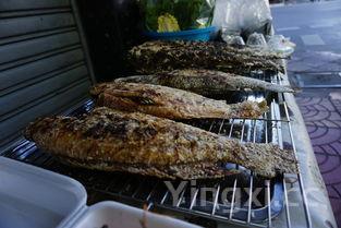 安康鱼是什么鱼,韩国安康鱼是什么鱼