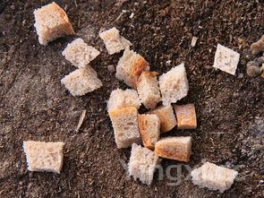 五花肉做法 最正宗的做法，五花肉做法