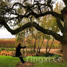 家常腐乳肉的做法视频,家常腐乳肉的做法