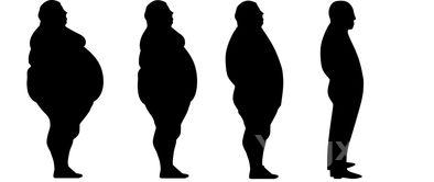 蓝瘦香菇下一句怎么说,蓝瘦香菇啥意思