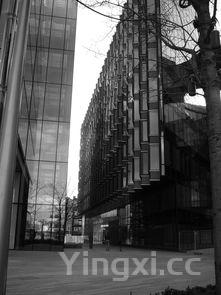 如何做螃蟹?,做螃蟹的方法步骤