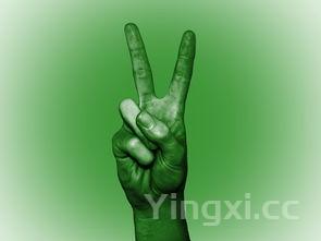 夜间咳嗽厉害,夜间咳嗽厉害是什么原因引起的