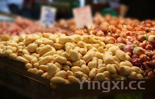 还能吃吗,土豆发绿还能吃吗