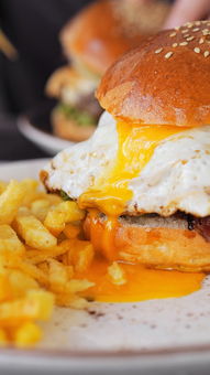 鸡蛋汉堡加盟,鸡蛋汉堡加盟费多少