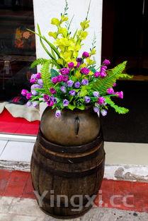 家庭自制葡萄酒的制作方法,在家自制葡萄酒的方法