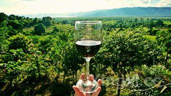 白酒简单储藏不坏的方法，这些要点你一定要知道